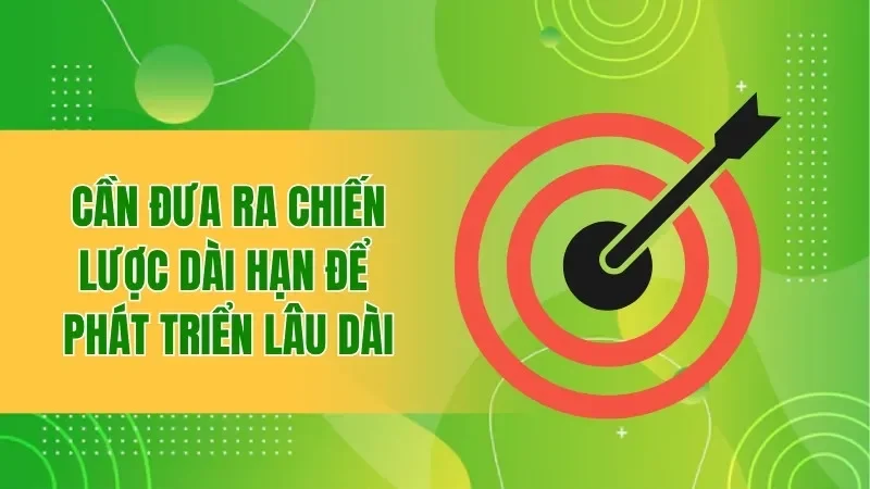 Cần đưa ra chiến lược dài hạn để phát triển lâu dài