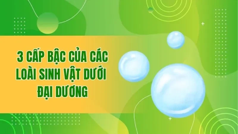 Bắn Cá Tỷ Phú Đại Dương - Săn Boss Lớn Thu Xu Khủng 2 3 cấp bậc của các loài sinh vật dưới đại dương