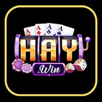 logo haywin